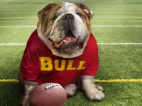 image Funny Doggy Puzzle