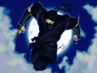 image Ninja Defender