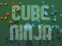 image Cube Ninja